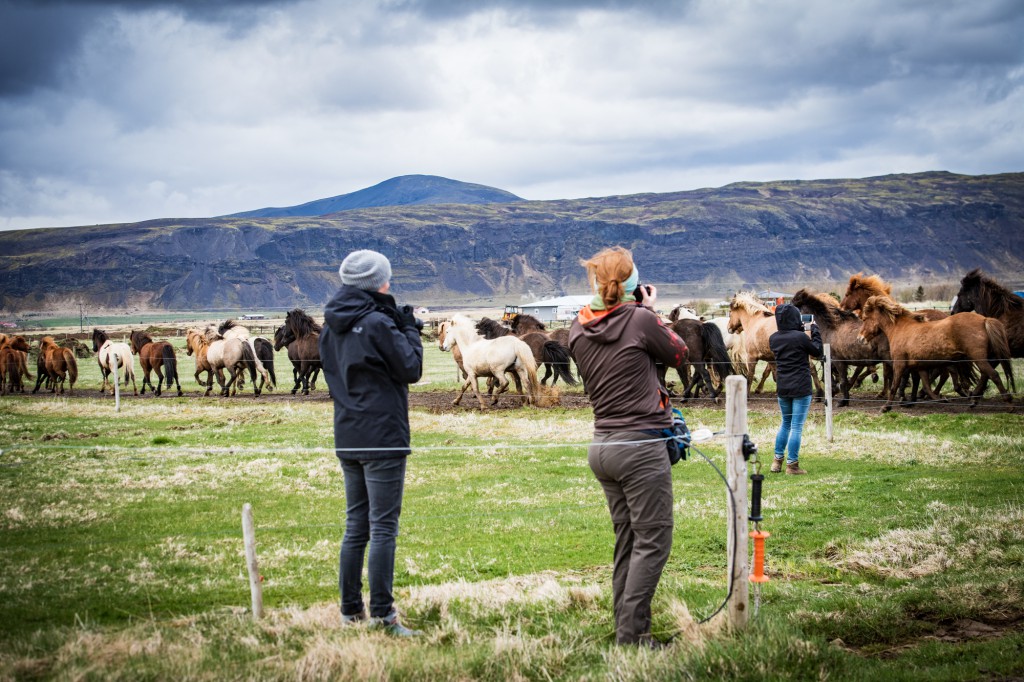 Fotografieren auf Island