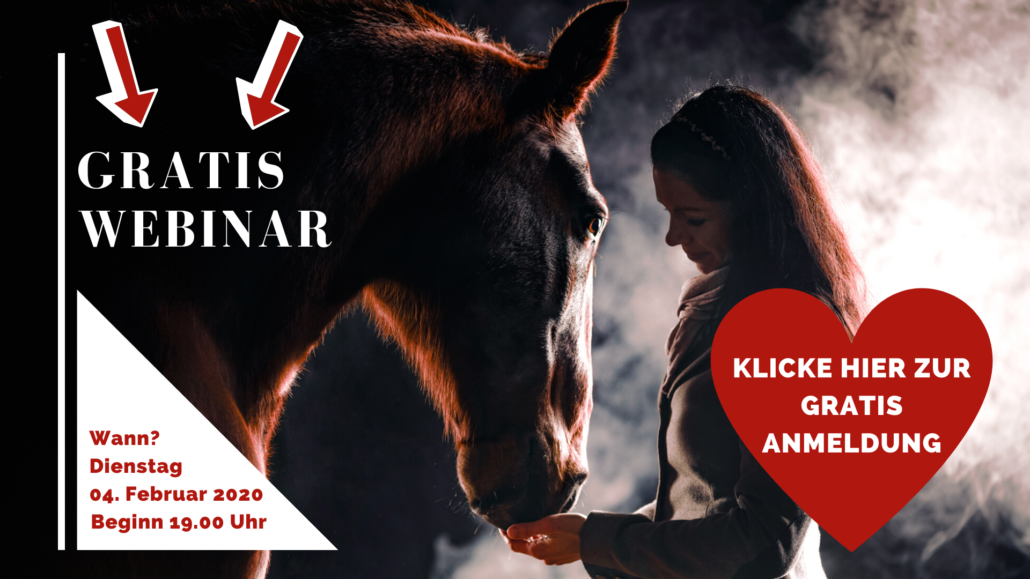 Gratis Live-Webinar: So bildest Du Dein Pferd gesundheitsfördernd aus!