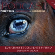 Pferdegesundheitsrisiko | Sandra Fencl | Pferdepodcast | Pferdewissen | Pferdegesundheit | Gesundes Pferd | Gesunde Pferde