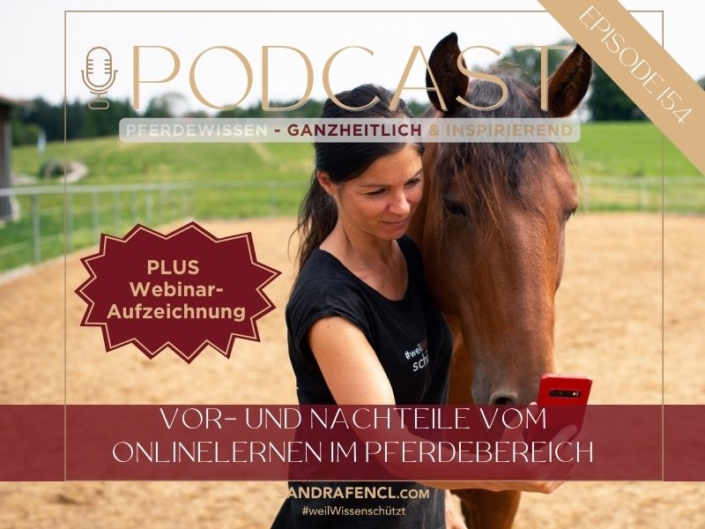 Online Lernen im Pferdebereich