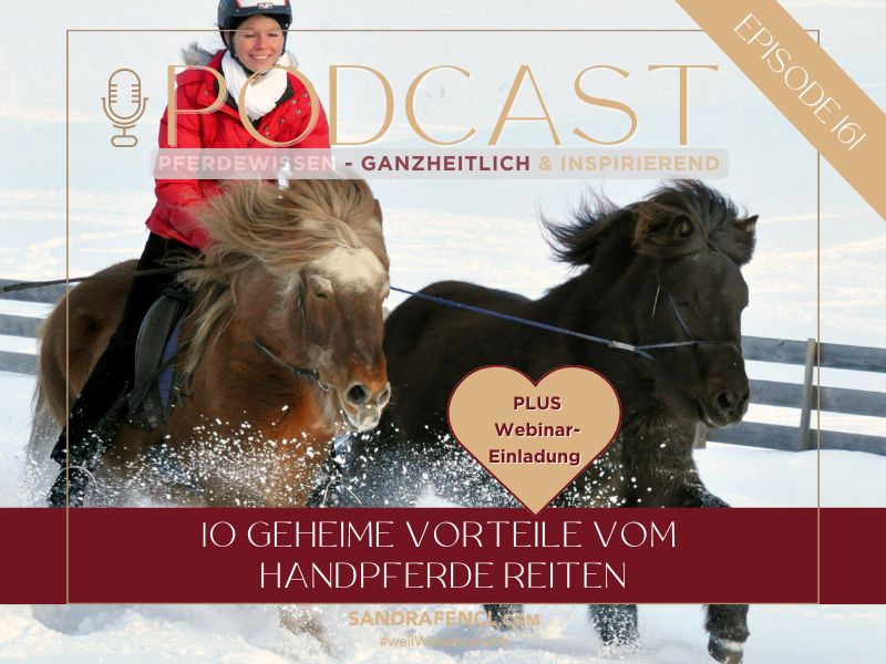 Handpferde Reiten