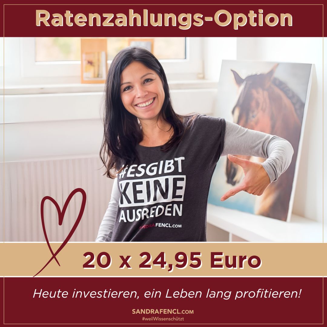 Deine Ratenzahlungs-Option